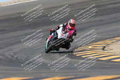 media/Mar-09-2024-SoCal Trackdays (Sat) [[bef1deb9bf]]/1-Bowl Exit (940am)/